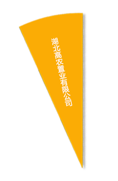 东升国际(中国区) - 官方网站