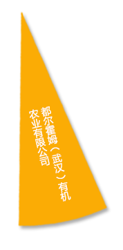 东升国际(中国区) - 官方网站