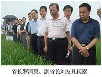 东升国际(中国区) - 官方网站