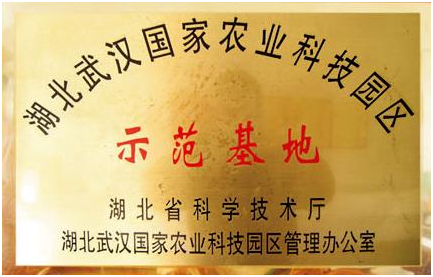 东升国际(中国区) - 官方网站
