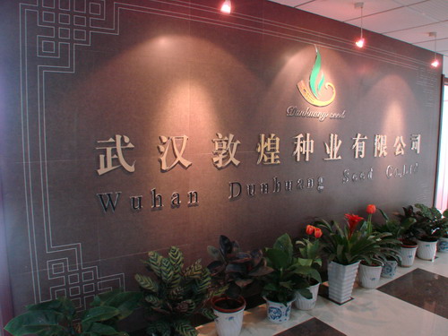 东升国际(中国区) - 官方网站