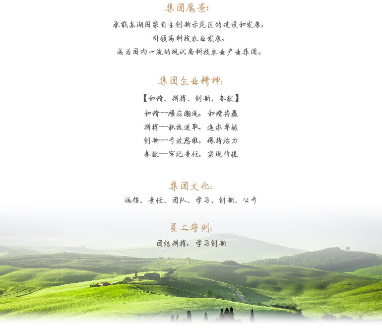 东升国际(中国区) - 官方网站