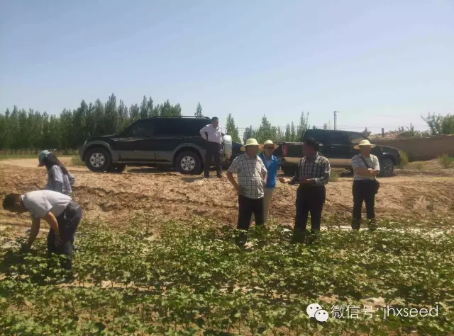 东升国际(中国区) - 官方网站
