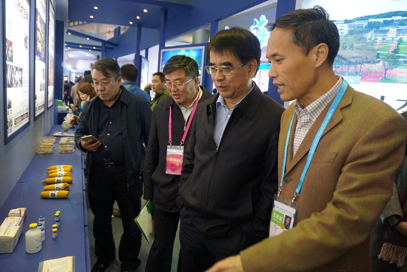 东升国际(中国区) - 官方网站