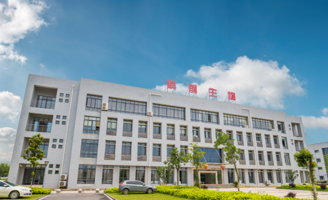 东升国际(中国区) - 官方网站