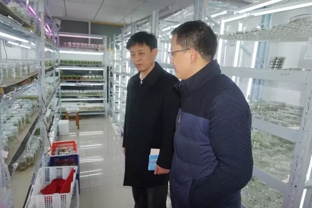 东升国际(中国区) - 官方网站