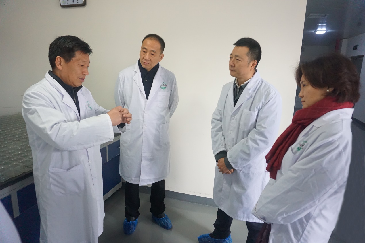 东升国际(中国区) - 官方网站