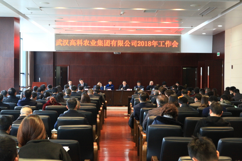 东升国际(中国区) - 官方网站