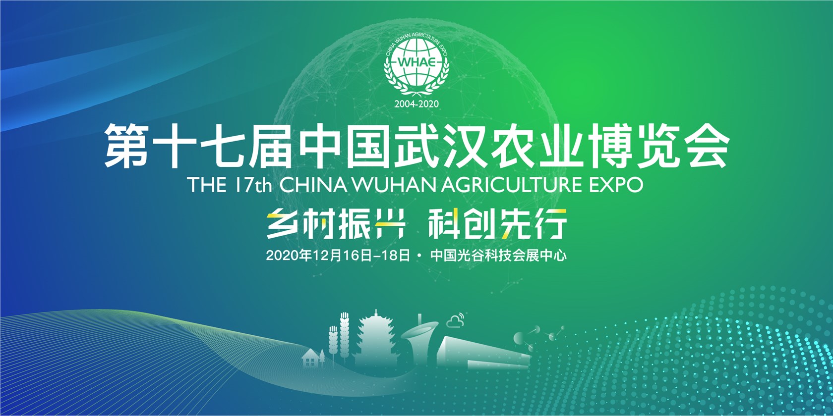 东升国际(中国区) - 官方网站